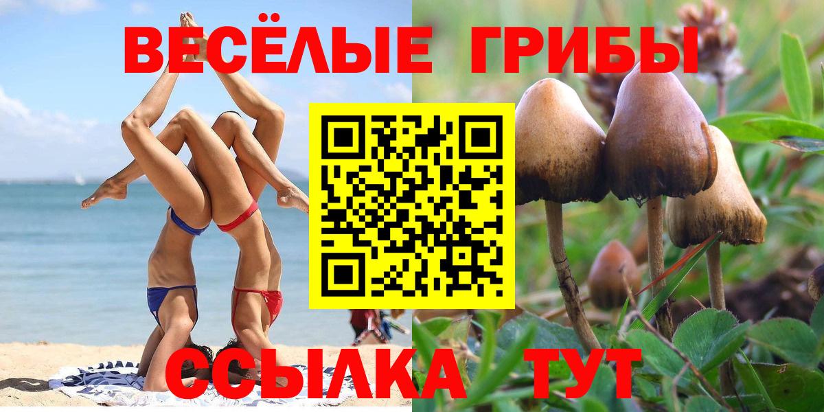 Семёнов  Галлюциногенные грибы MAGIC MUSHROOMS  Псилоцибиновые грибы прущие грибы  Вход с VPN 