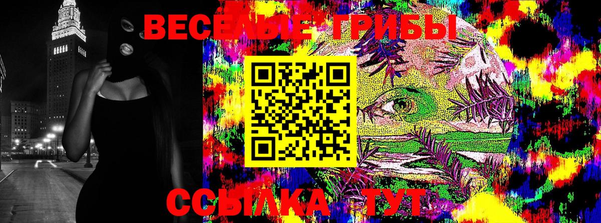 Псилоцибиновые грибы мицелий Семёнов